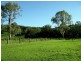 169 Horseshoe Creek Road, Kyogle NSW 2474