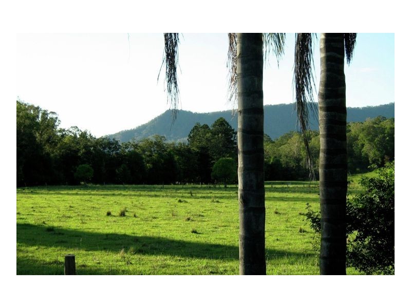 169 Horseshoe Creek Road, Kyogle NSW 2474