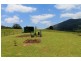 67 Collins Valley Road, Kyogle NSW 2474