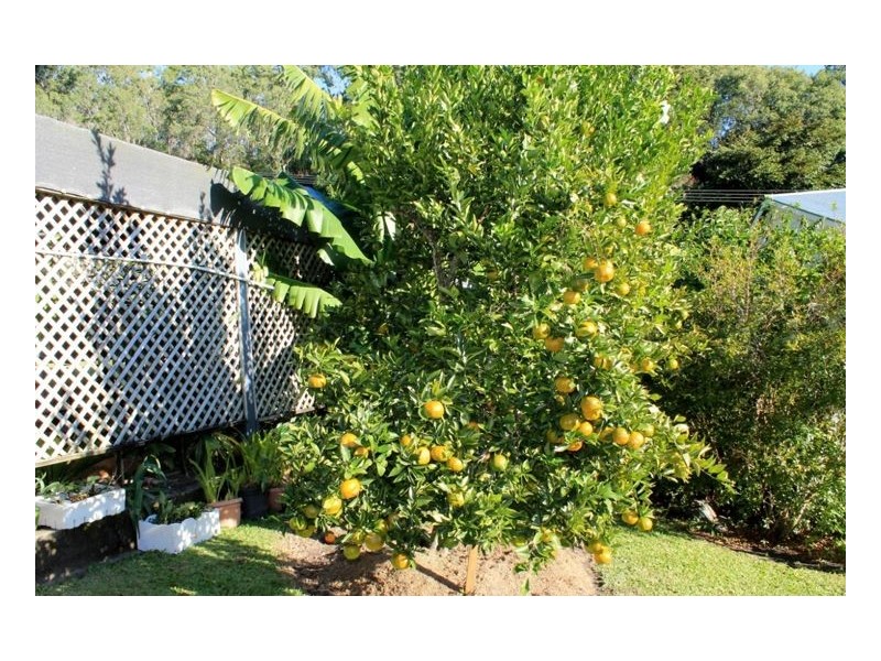 39 Stratheden Street, Kyogle NSW 2474