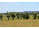 45 Upper Stratheden Road, Kyogle NSW 2474