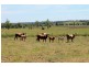 45 Upper Stratheden Road, Kyogle NSW 2474