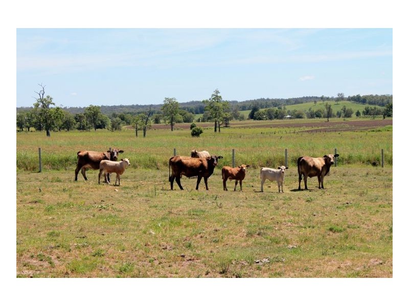 45 Upper Stratheden Road, Kyogle NSW 2474