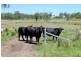 45 Upper Stratheden Road, Kyogle NSW 2474