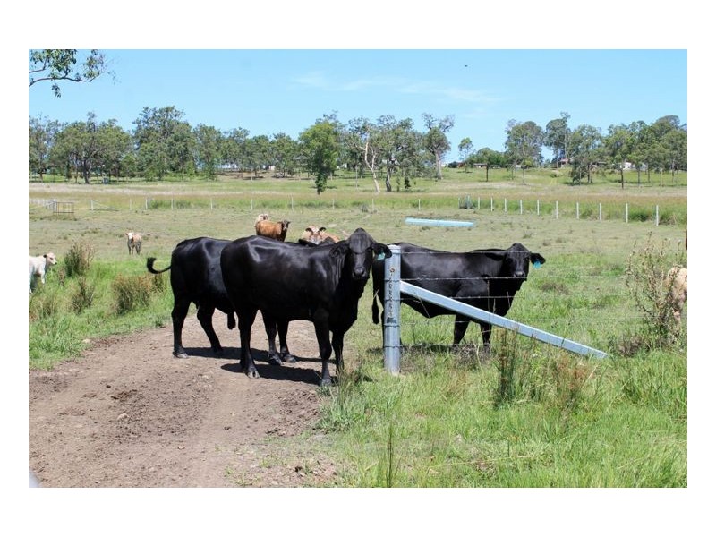 45 Upper Stratheden Road, Kyogle NSW 2474