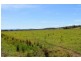 45 Upper Stratheden Road, Kyogle NSW 2474