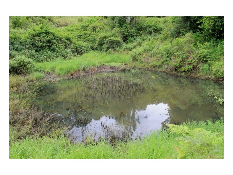 390 Fawcetts Plain Road, Kyogle NSW 2474