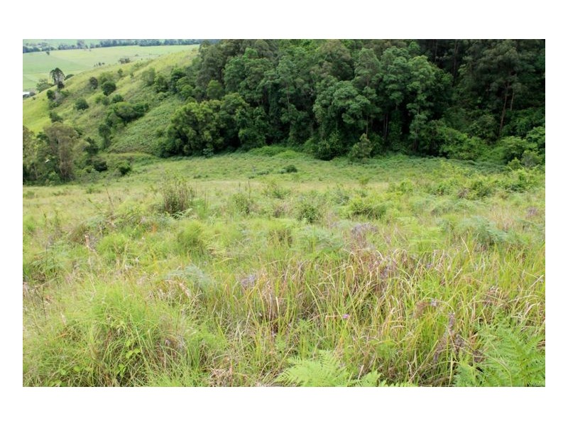 390 Fawcetts Plain Road, Kyogle NSW 2474