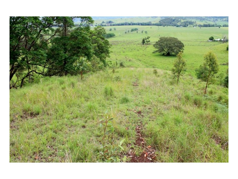 390 Fawcetts Plain Road, Kyogle NSW 2474