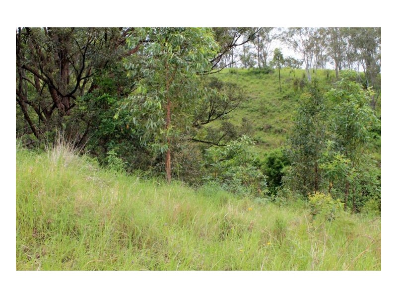 390 Fawcetts Plain Road, Kyogle NSW 2474