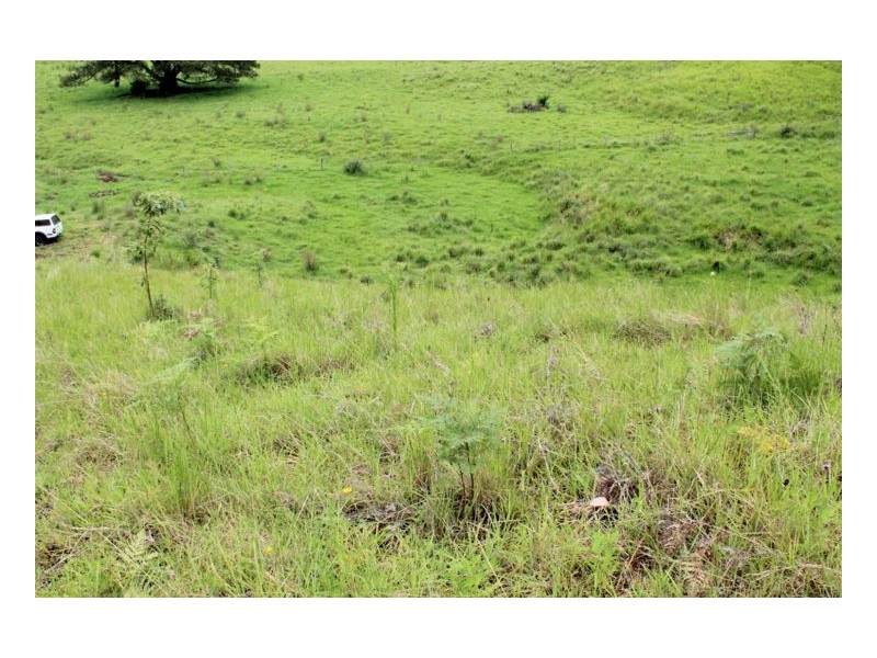 390 Fawcetts Plain Road, Kyogle NSW 2474