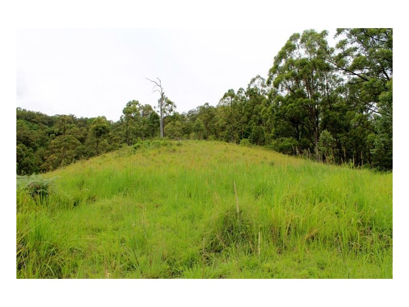 390 Fawcetts Plain Road, Kyogle NSW 2474