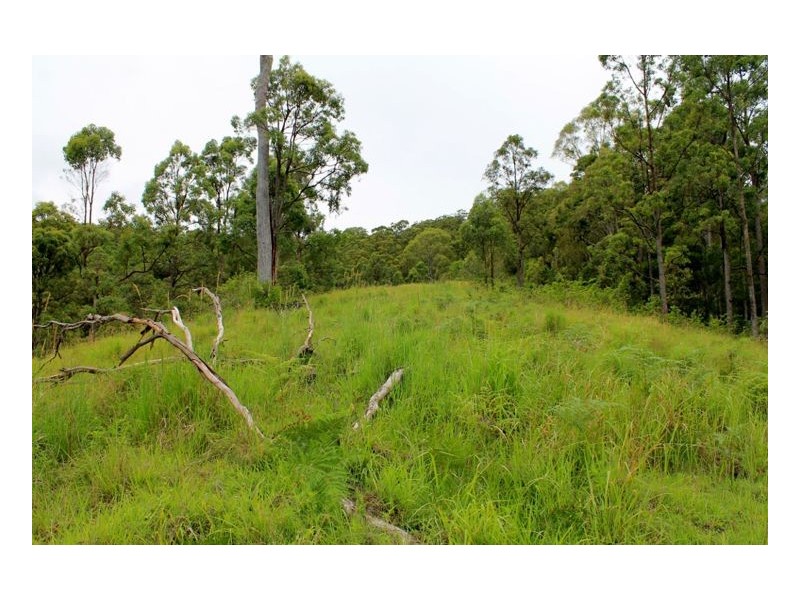 390 Fawcetts Plain Road, Kyogle NSW 2474