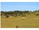693 Collins Creek Road, Kyogle NSW 2474