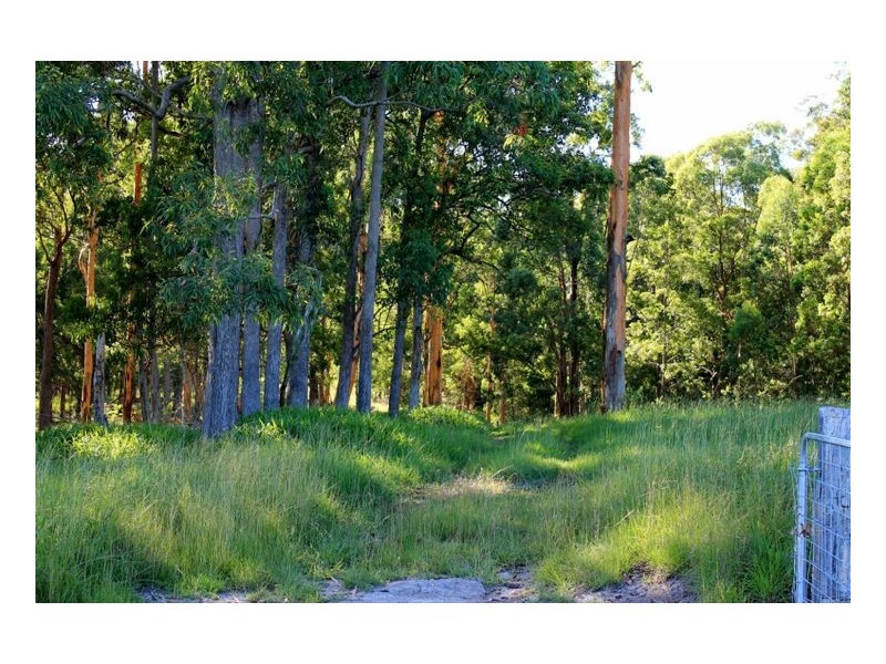 16404 Clarence Way, Urbenville NSW 2475