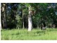 16404 Clarence Way, Urbenville NSW 2475