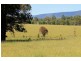 16404 Clarence Way, Urbenville NSW 2475