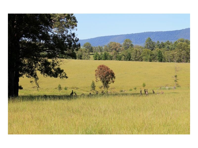 16404 Clarence Way, Urbenville NSW 2475