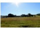 16404 Clarence Way, Urbenville NSW 2475