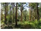 16404 Clarence Way, Urbenville NSW 2475