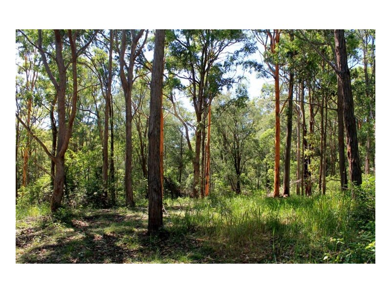 16404 Clarence Way, Urbenville NSW 2475