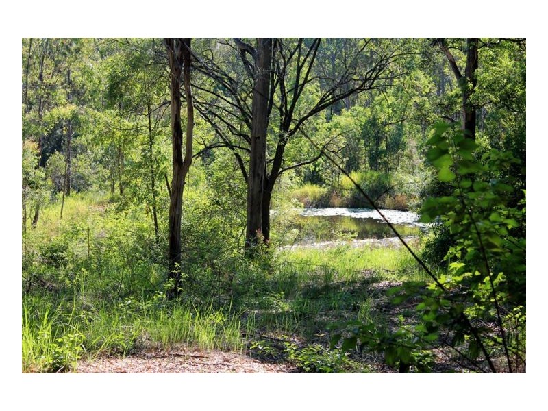 16404 Clarence Way, Urbenville NSW 2475