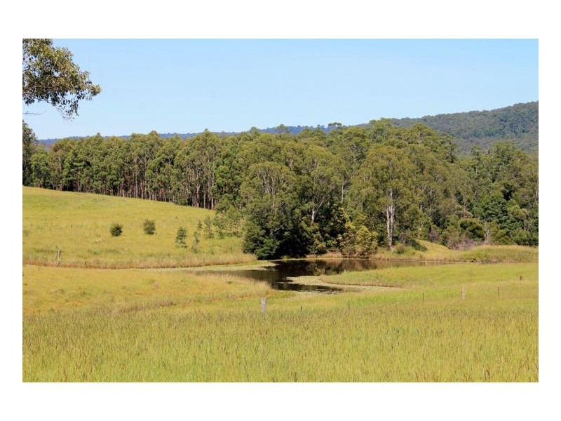 16404 Clarence Way, Urbenville NSW 2475