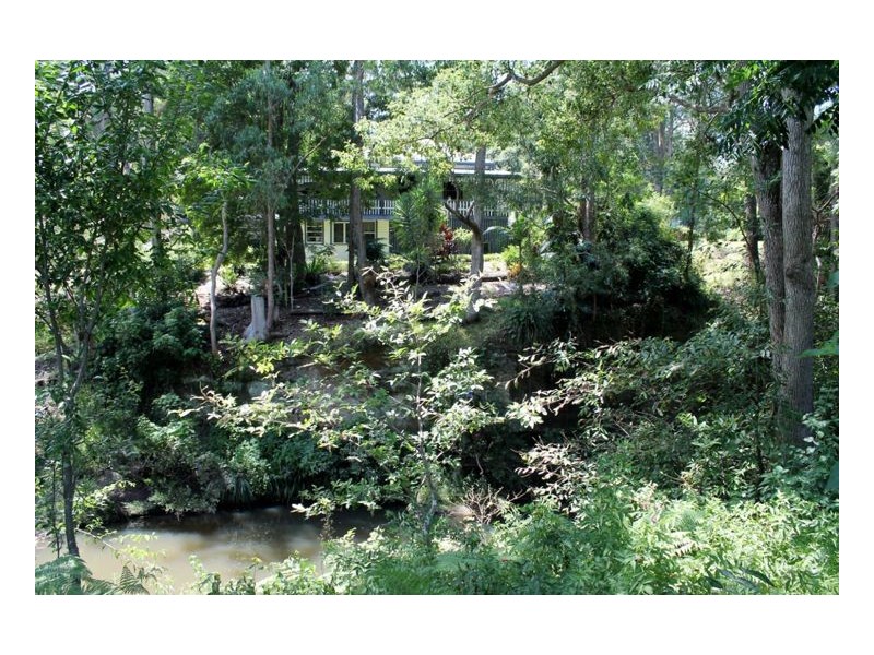 1503 Afterlee Road, Kyogle NSW 2474