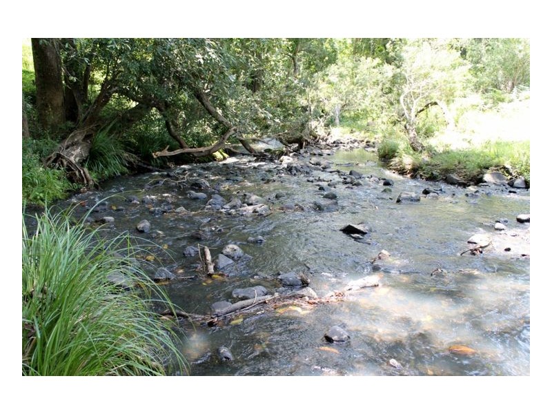 1503 Afterlee Road, Kyogle NSW 2474