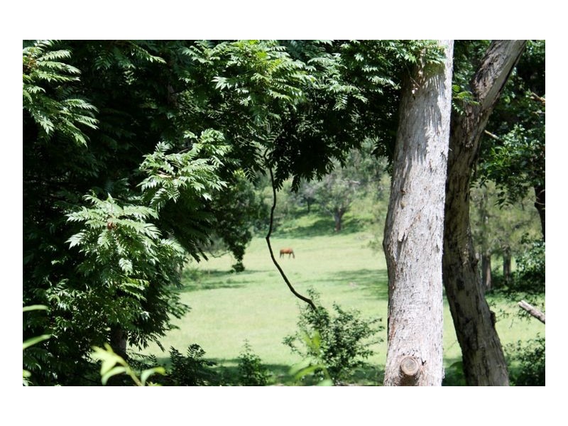 1503 Afterlee Road, Kyogle NSW 2474