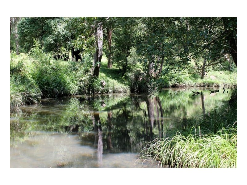 1503 Afterlee Road, Kyogle NSW 2474