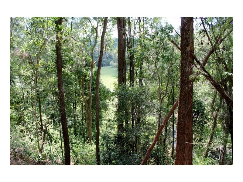 1503 Afterlee Road, Kyogle NSW 2474