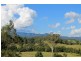 1345 Collins creek road, Kyogle NSW 2474