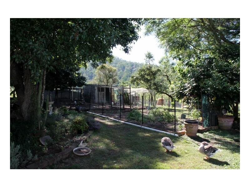 1345 Collins creek road, Kyogle NSW 2474