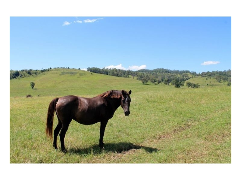 93 Pines Road Ettrick, Kyogle NSW 2474