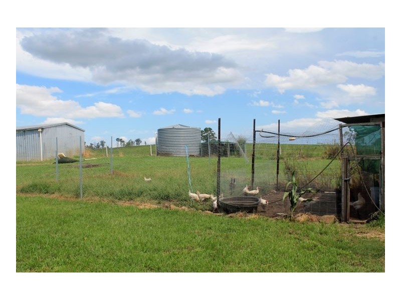 93 Pines Road Ettrick, Kyogle NSW 2474