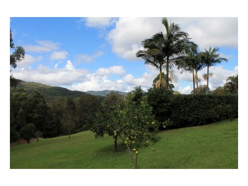 348 Green Pigeon Road, Kyogle NSW 2474