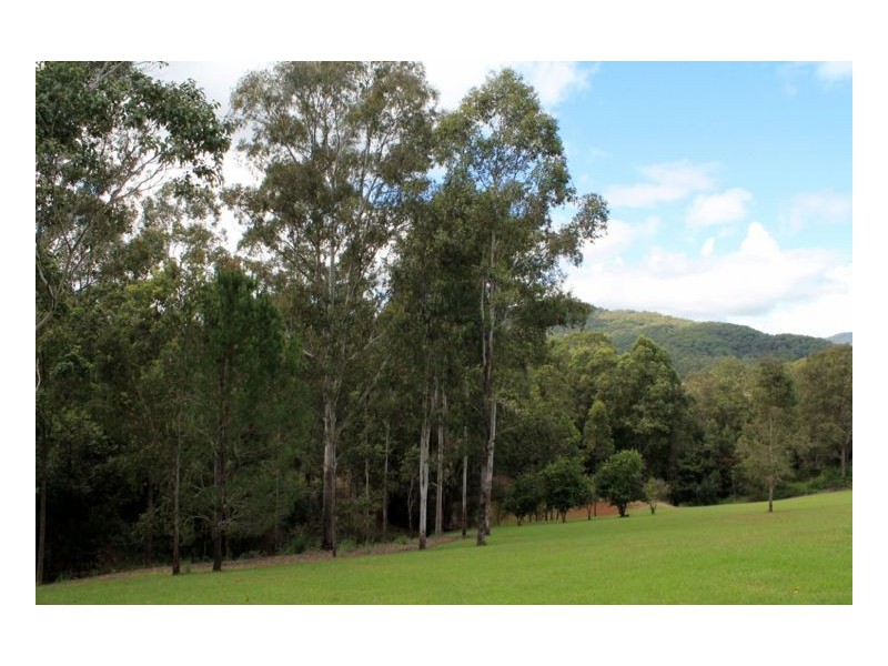 348 Green Pigeon Road, Kyogle NSW 2474