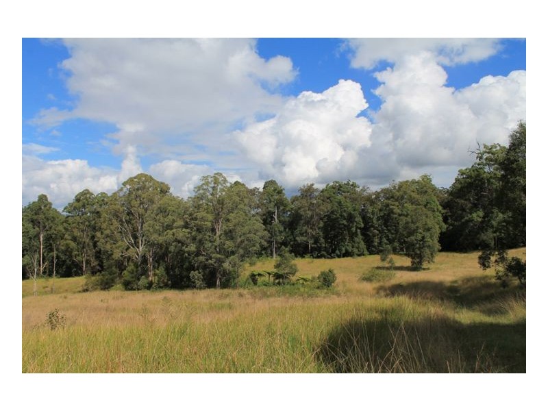 393 Dam Access Road, Ghinni Ghi, Kyogle NSW 2474