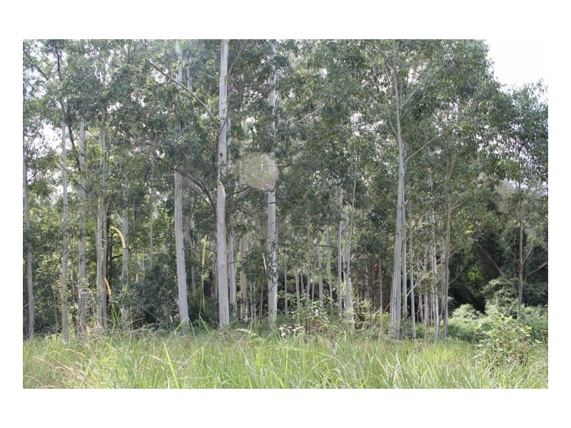 393 Dam Access Road, Ghinni Ghi, Kyogle NSW 2474