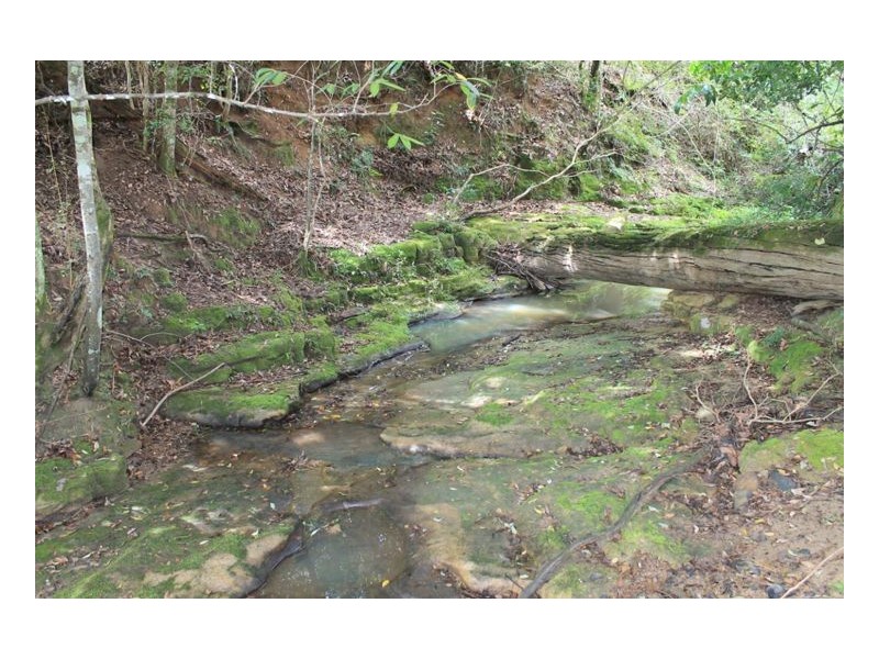 393 Dam Access Road, Ghinni Ghi, Kyogle NSW 2474