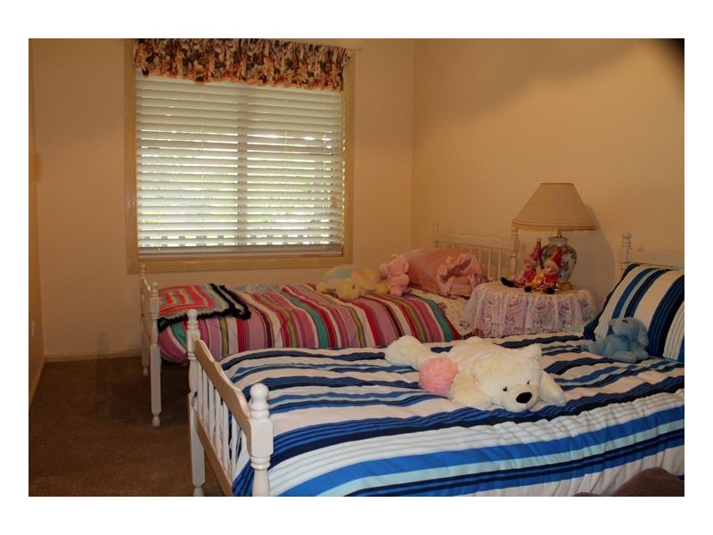 11 Caddie Avenue, New Park, Kyogle NSW 2474