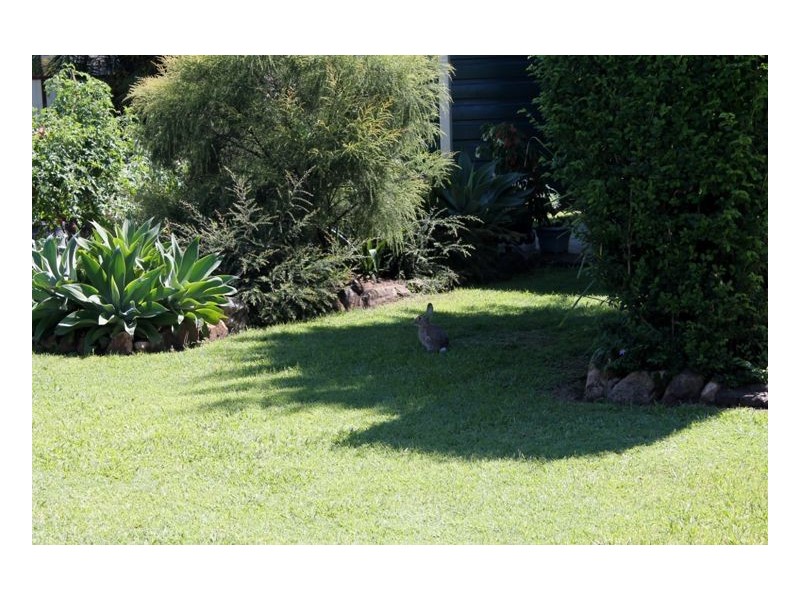 1393 Summerland Way, Kyogle NSW 2474