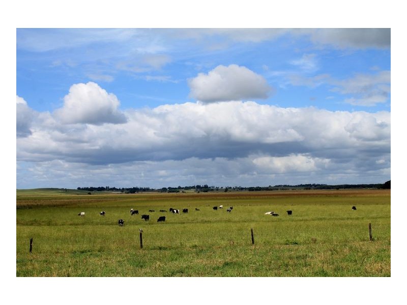 12180 Summerland Way, Fairy Hill, Kyogle NSW 2474