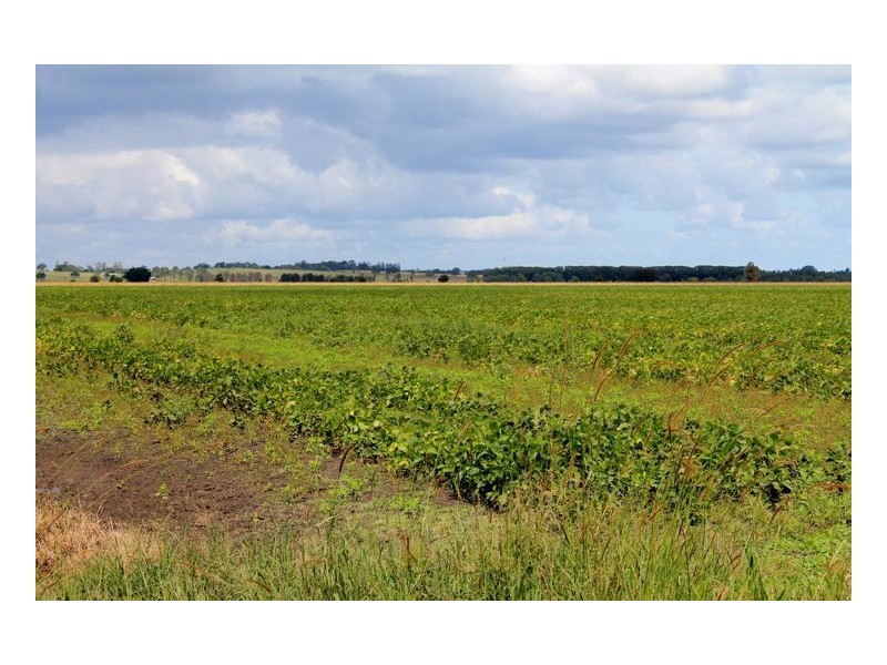 12180 Summerland Way, Fairy Hill, Kyogle NSW 2474