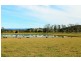 12180 Summerland Way, Fairy Hill, Kyogle NSW 2474