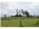 12180 Summerland Way, Fairy Hill, Kyogle NSW 2474