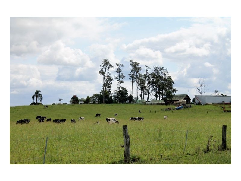 12180 Summerland Way, Fairy Hill, Kyogle NSW 2474