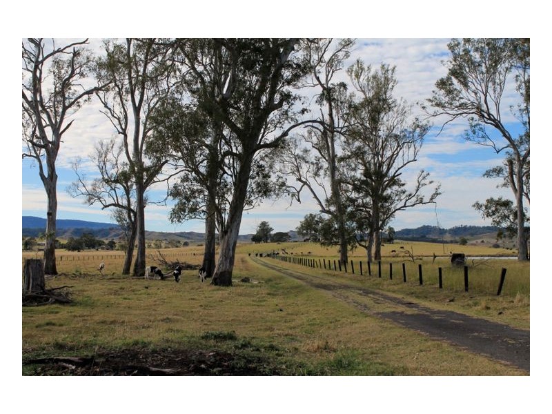12180 Summerland Way, Fairy Hill, Kyogle NSW 2474