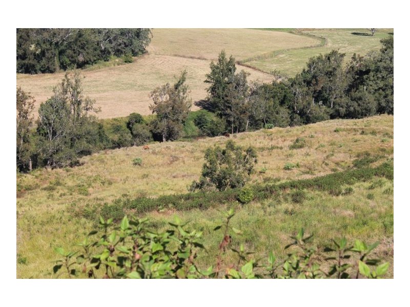 Lot 9 Blackhorse Creek Road, Kyogle NSW 2474